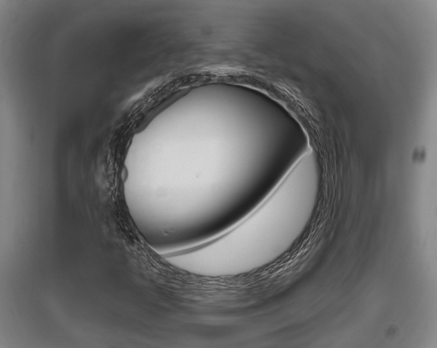 X0000095961398200801110935