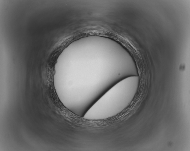 X0000095961399200801110935