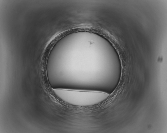 X0000095961400200801110935