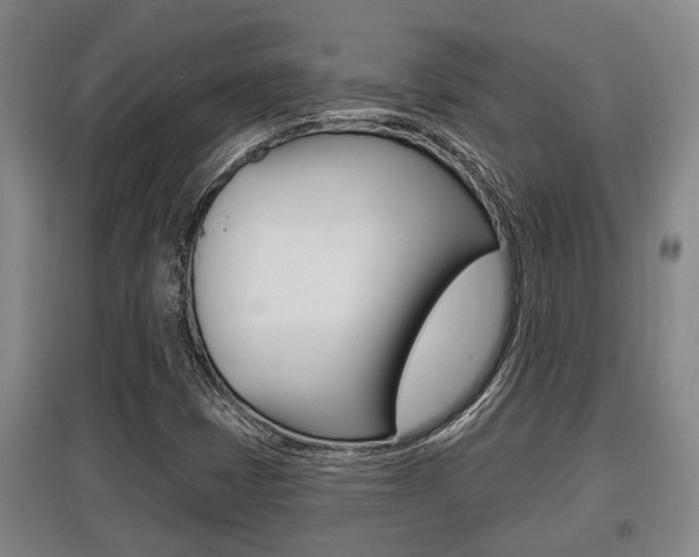X0000095961401200801110935