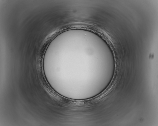 X0000095961403200801110935