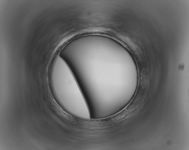X0000095961404200801110935