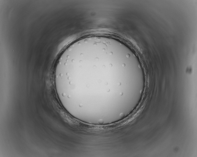 X0000095961405200801110935