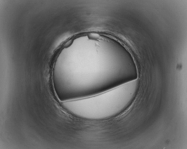 X0000095961406200801110935