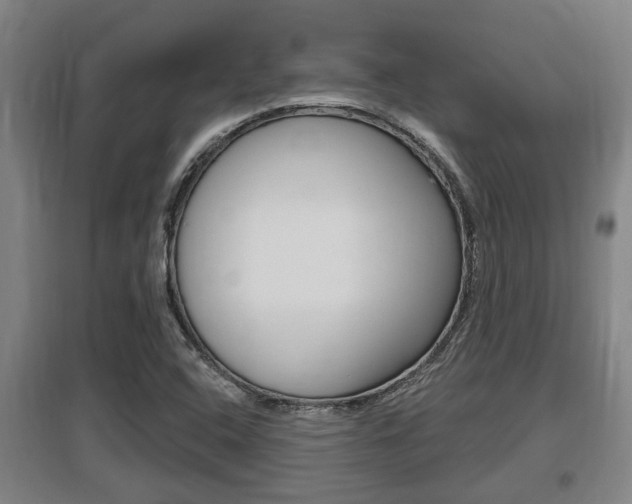 X0000095961408200801110935