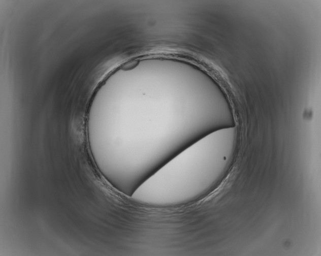 X0000095961409200801110935