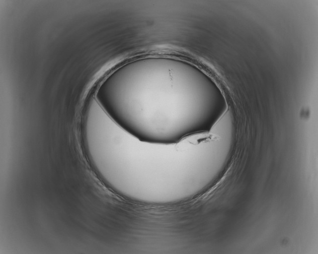 X0000095961410200801110935