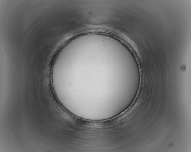 X0000095961411200801110935
