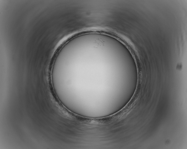 X0000095961412200801110935