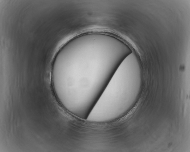 X0000095961413200801110935