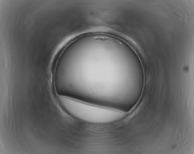 X0000095961414200801110935