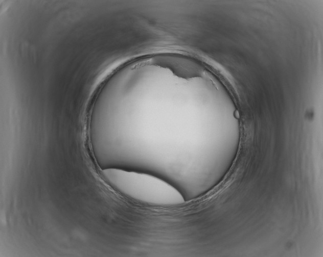 X0000095961415200801110935