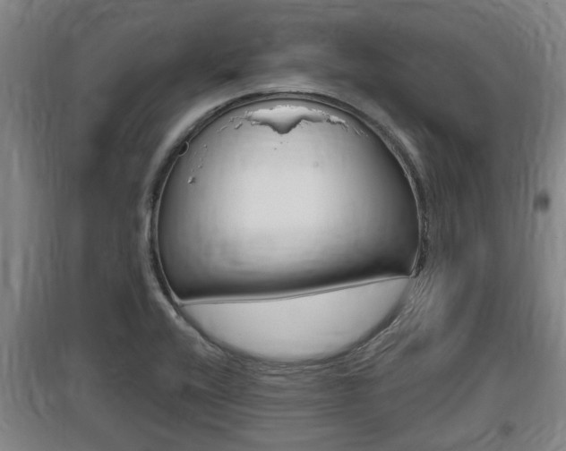 X0000095961416200801110935