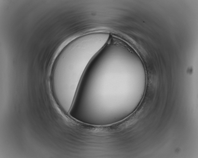 X0000095961418200801110935