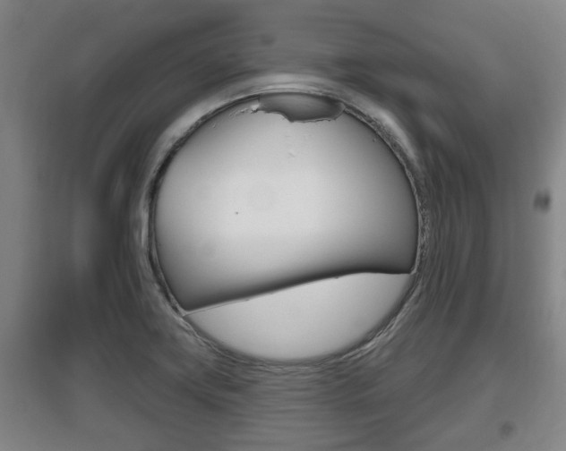 X0000095961419200801110935