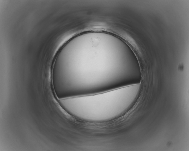 X0000095961420200801110935