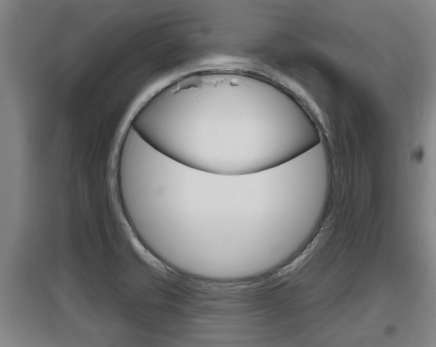 X0000095961421200801110935