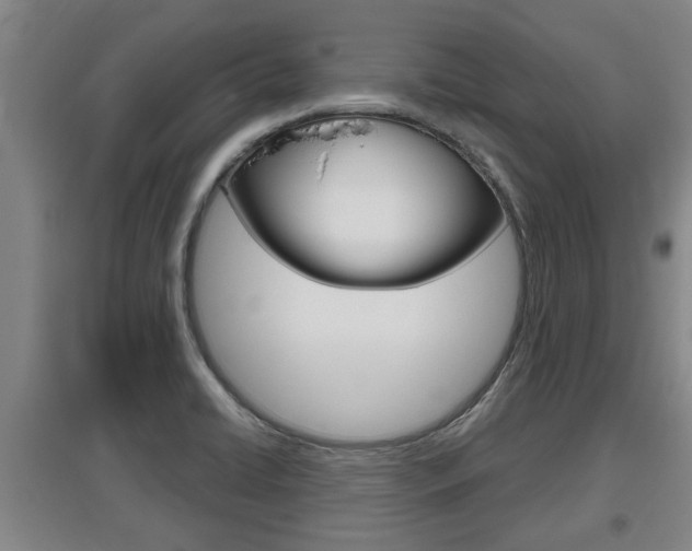 X0000095961422200801110935