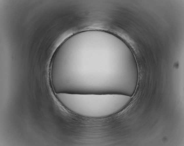 X0000095961423200801110935