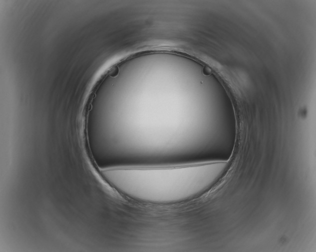 X0000095961424200801110935