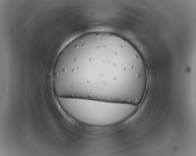 X0000095961425200801110935
