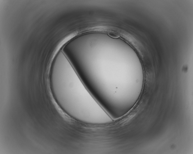 X0000095961426200801110935