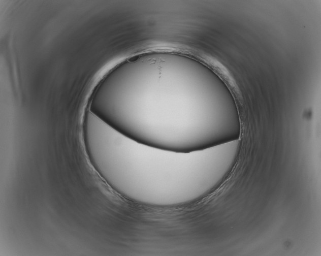 X0000095961427200801110935