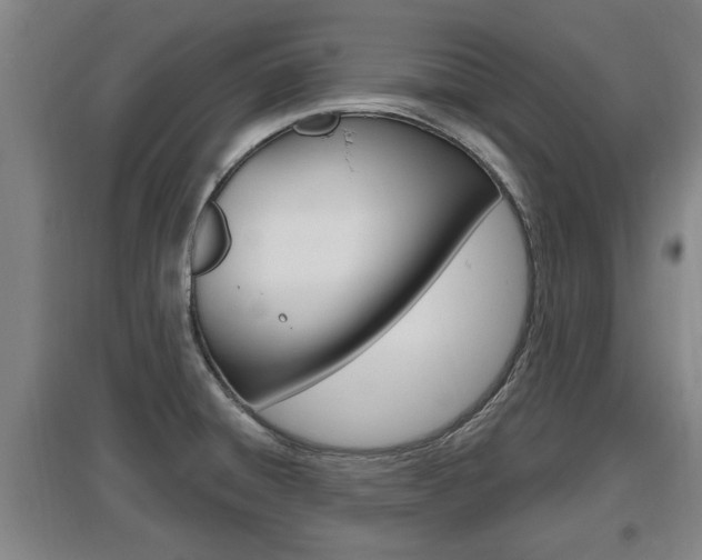 X0000095961428200801110935