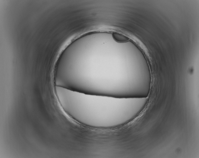 X0000095961429200801110935