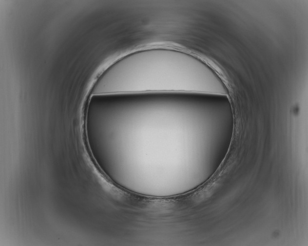 X0000095961430200801110935