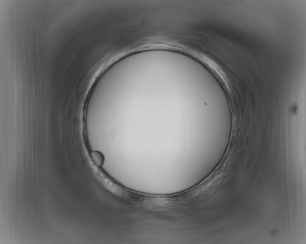 X0000095961431200801110935