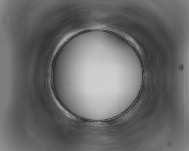 X0000095961432200801110935