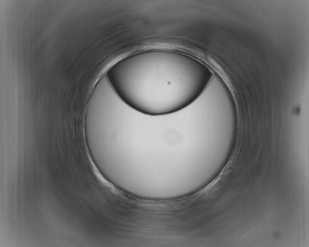 X0000095961433200801110936