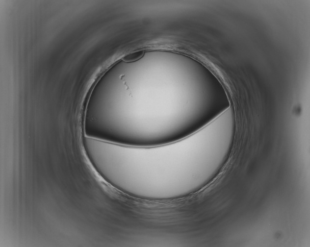X0000095961434200801110936