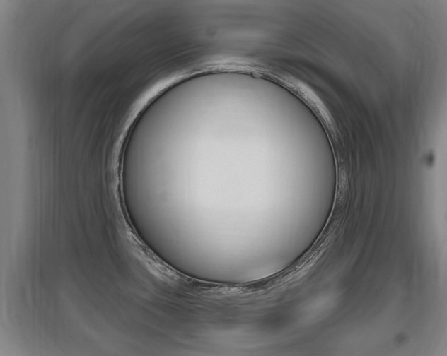 X0000095961435200801110936
