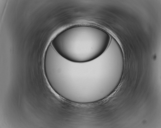 X0000095961437200801110936
