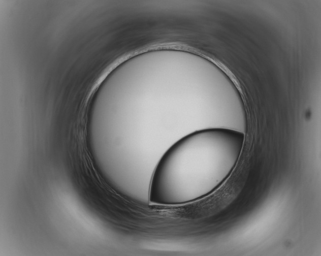 X0000095961438200801110936