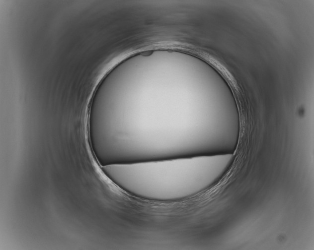 X0000095961439200801110936