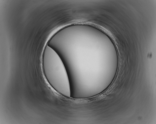 X0000095961440200801110936