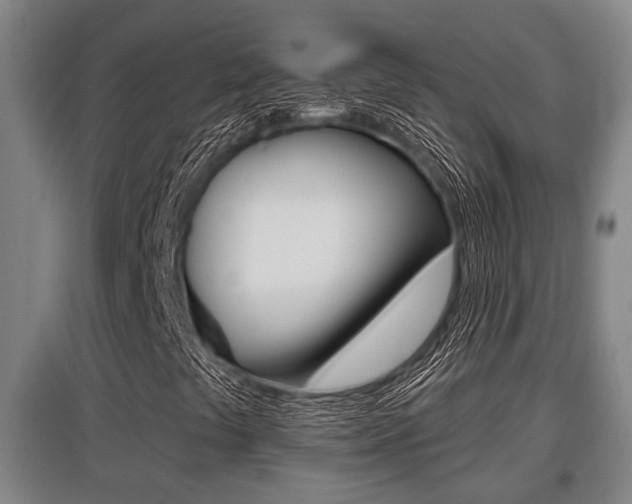 X0000095961441200801110935