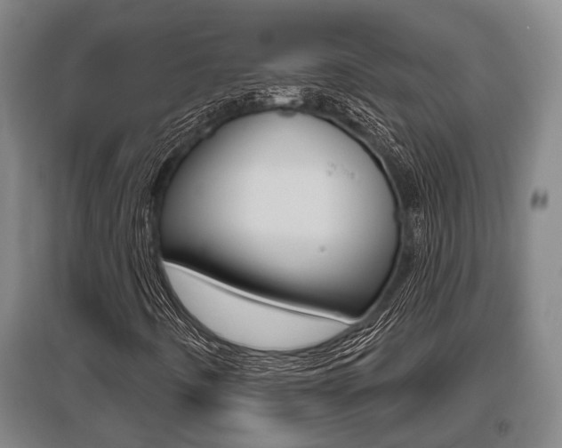 X0000095961442200801110935
