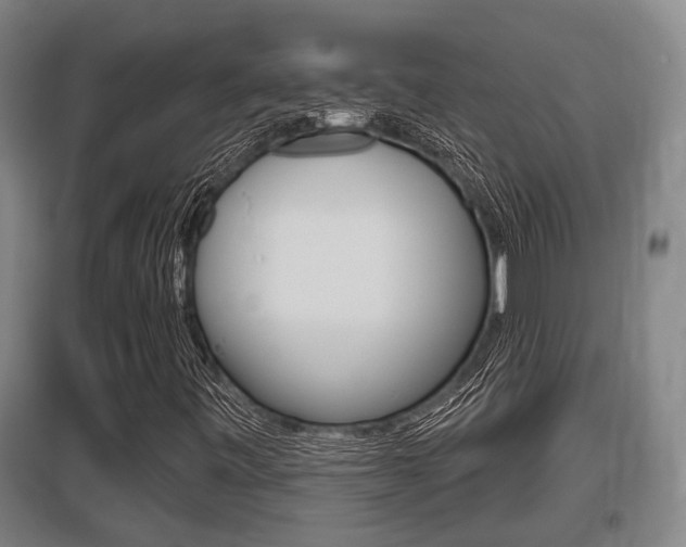 X0000095961443200801110935