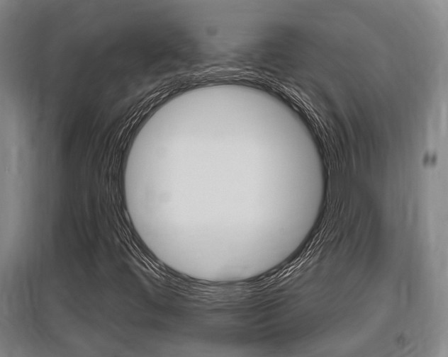 X0000095961444200801110935