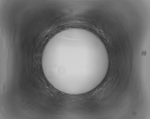 X0000095961445200801110935