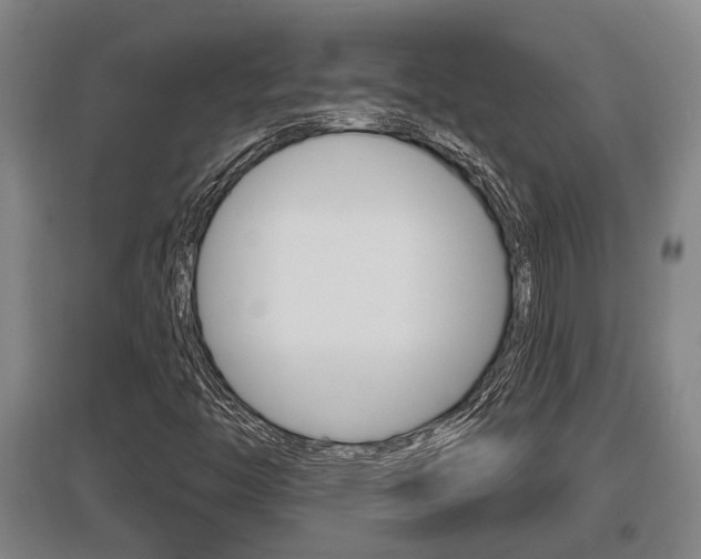 X0000095961446200801110935