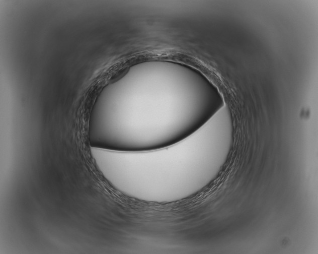 X0000095961447200801110935