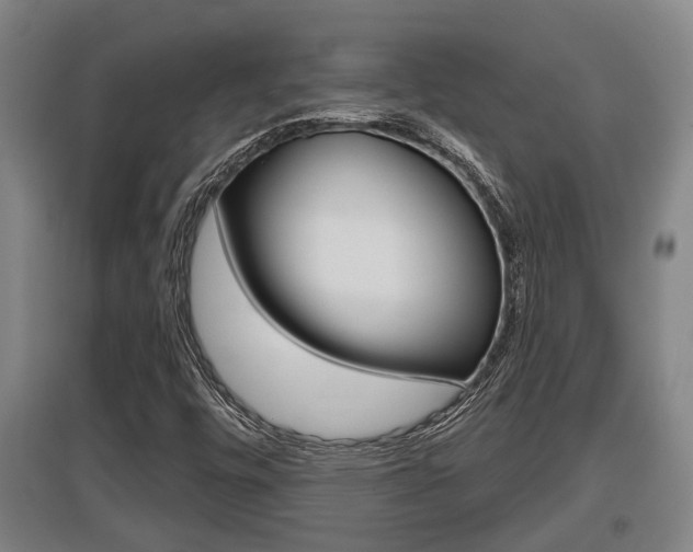 X0000095961448200801110935