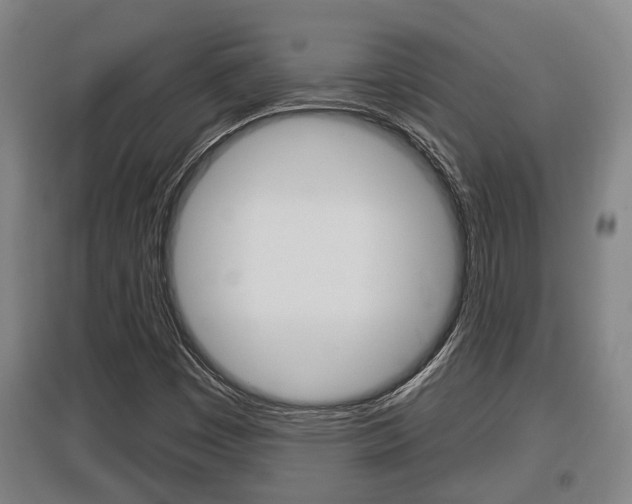 X0000095961449200801110935