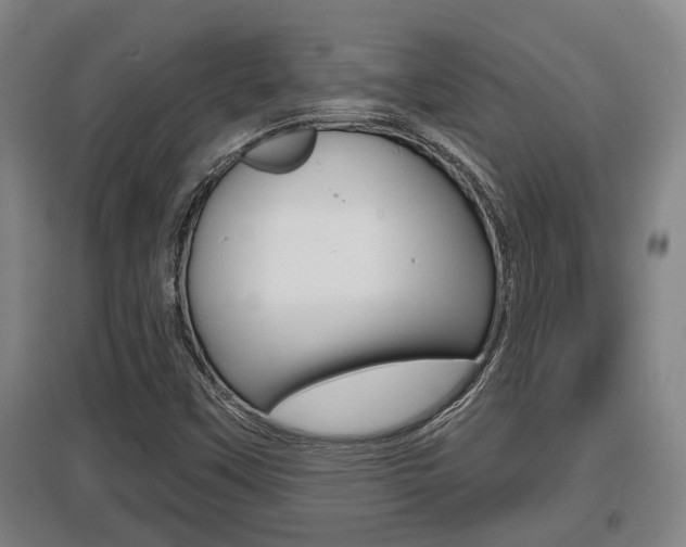 X0000095961451200801110935