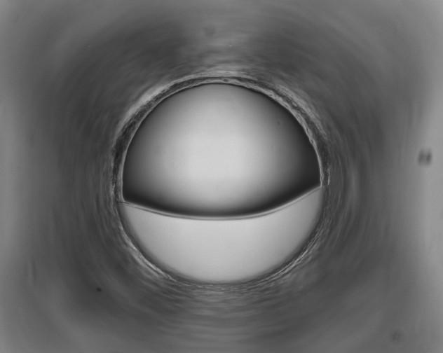 X0000095961452200801110935